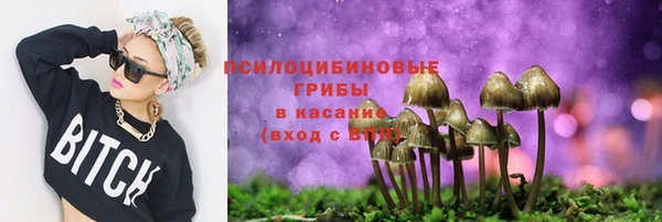 марки lsd Белокуриха