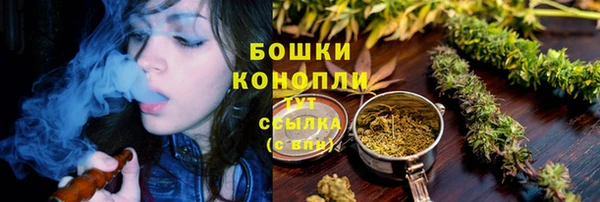 амф Губаха