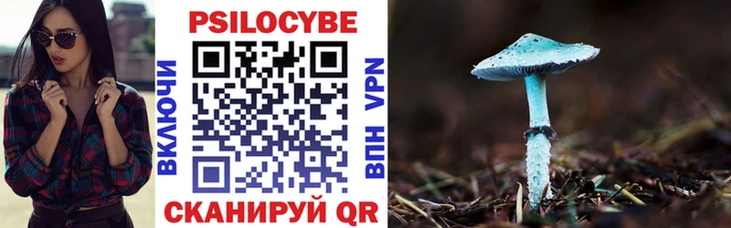площадка какой сайт  Горняк  Псилоцибиновые грибы Psilocybine cubensis 